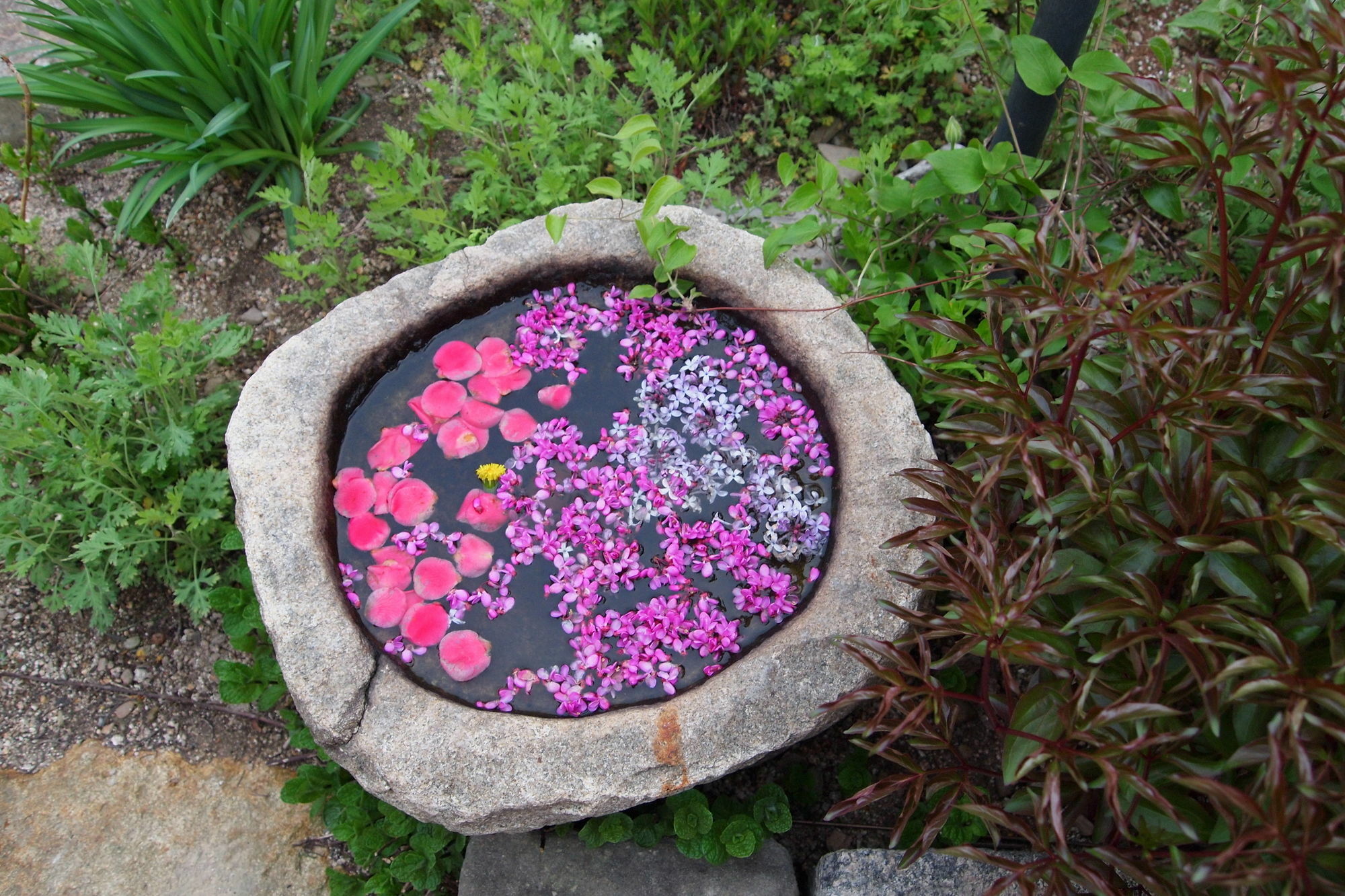 Floral Space Hanok Guesthouse Gyeongju Eksteriør billede