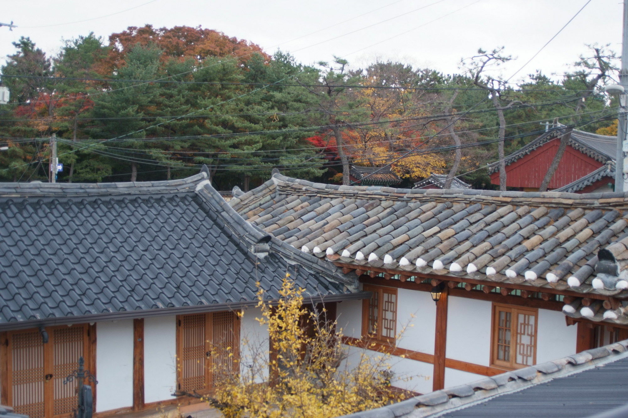 Floral Space Hanok Guesthouse Gyeongju Eksteriør billede